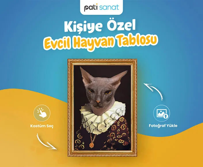 Instagram gönderisi