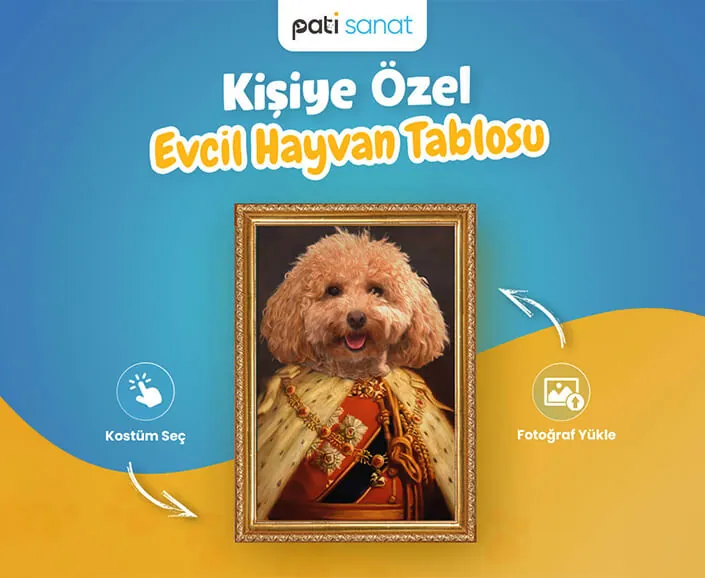 Instagram gönderisi