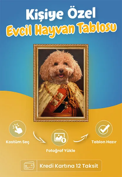 Kişiye özel evcil hayvan tablosu
