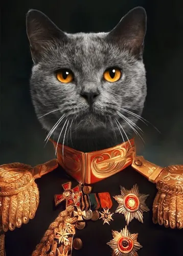 The Sergeant evcil hayvan portresi