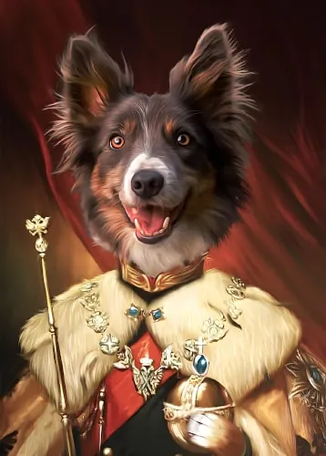 The Emperor evcil hayvan portresi