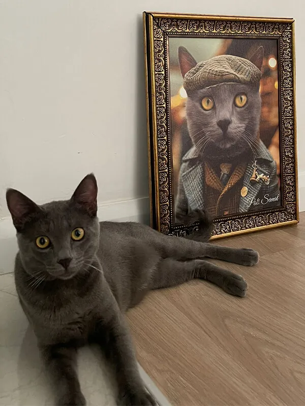Şevval **** yorumu